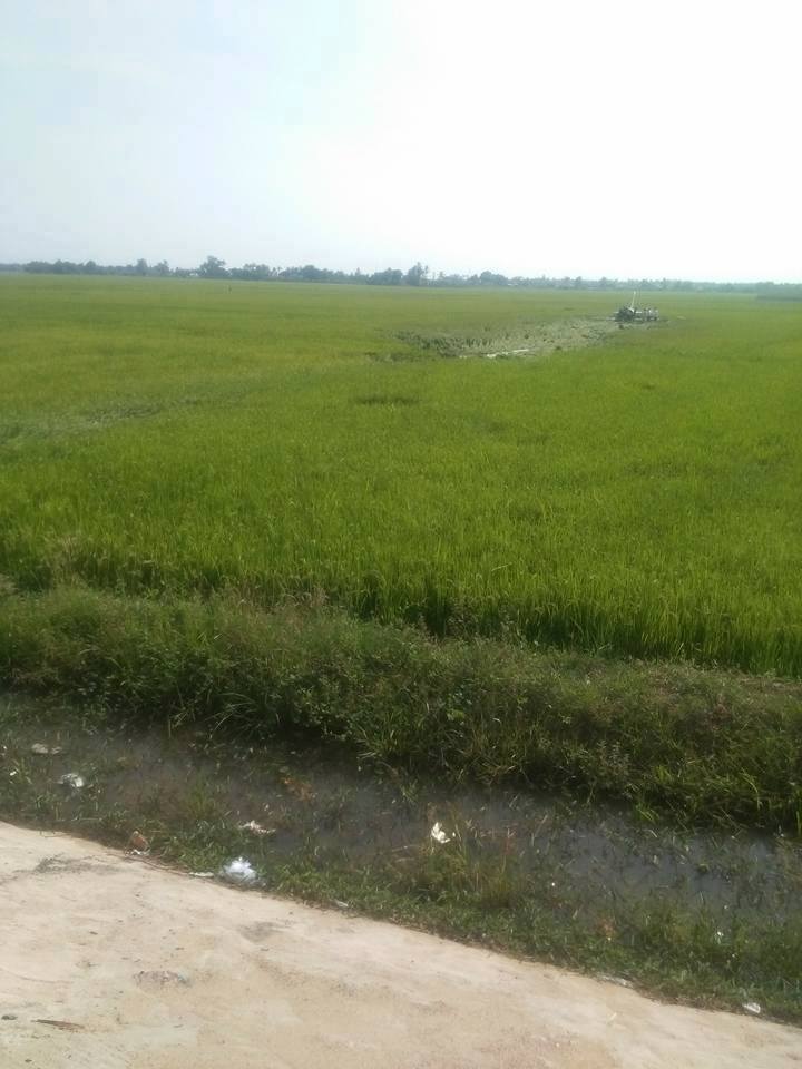 CẬP NHẬT: Máy bay huấn luyện phản lực L-39 của KQVN rơi tại Phú Yên - Ảnh 2. CẬP NHẬT: Máy bay huấn luyện phản lực L-39 của KQVN rơi tại Phú Yên - Ảnh 2.