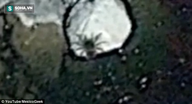 Google Earth phát hiện sinh vật khổng lồ ở ngoài khơi Mexico - Ảnh 2.