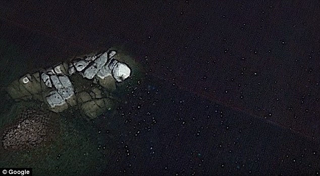 Google Earth phát hiện sinh vật khổng lồ ở ngoài khơi Mexico - Ảnh 3.