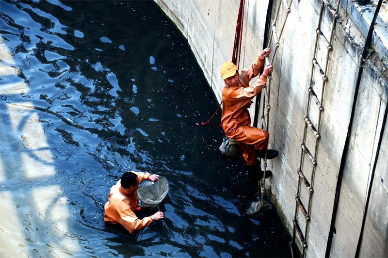 Vớt được cả tấn vàng dưới lòng sông hôi thối... như sông Tô Lịch - Ảnh 1. Vớt được cả tấn vàng dưới lòng sông hôi thối... như sông Tô Lịch - Ảnh 1.
