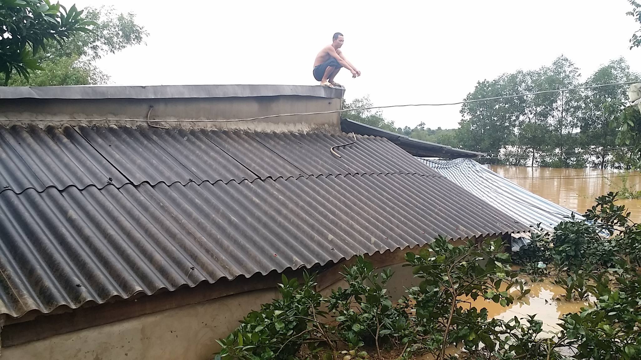 Nước phủ trắng các tỉnh miền Trung, người dân chèo ghe trên đường - Ảnh 7. Nước phủ trắng các tỉnh miền Trung, người dân chèo ghe trên đường - Ảnh 7.