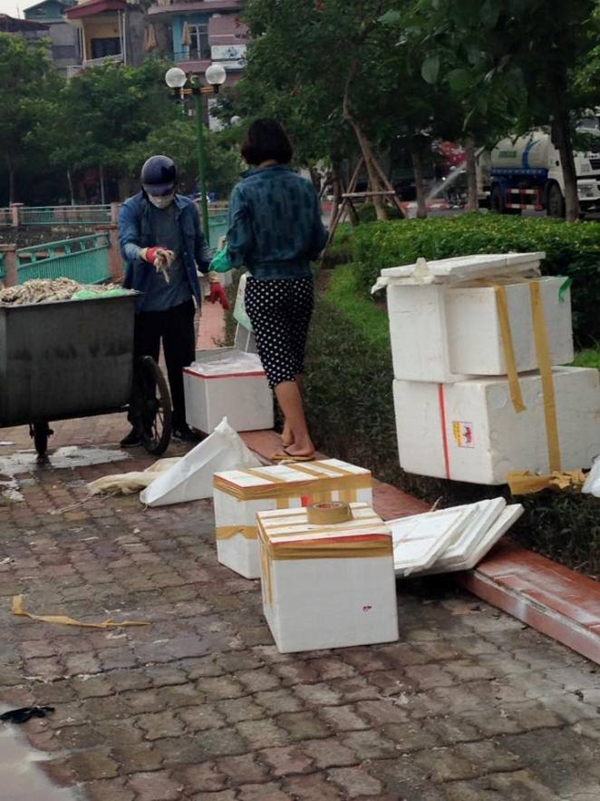 Nghi vấn đôi nam nữ đưa cá chết Hồ Tây vào thùng xốp để tiêu thụ - Ảnh 1. Nghi vấn đôi nam nữ đưa cá chết Hồ Tây vào thùng xốp để tiêu thụ - Ảnh 1.