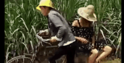 Những tình huống oái oăm khiến bạn cười rơi nước mắt Những tình huống oái oăm khiến bạn cười rơi nước mắt