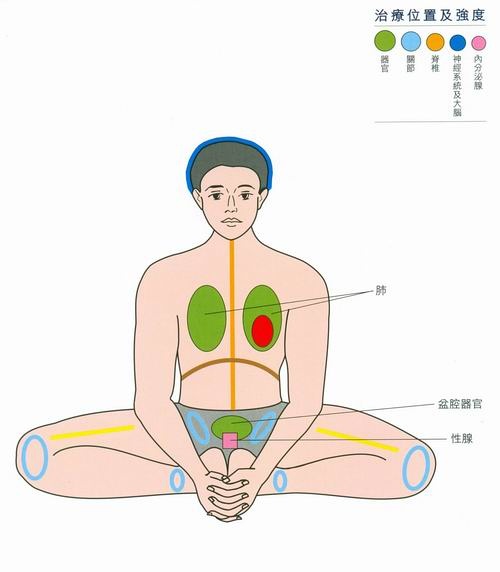 Bài tập Bướm bay chữa phụ khoa, thận, viêm tuyến tiền liệt - Ảnh 4. Bài tập Bướm bay chữa phụ khoa, thận, viêm tuyến tiền liệt - Ảnh 4.