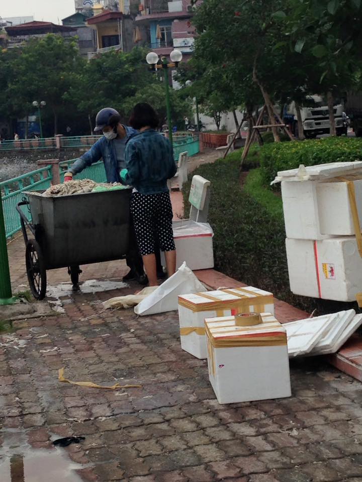 Nghi vấn đôi nam nữ đưa cá chết Hồ Tây vào thùng xốp để tiêu thụ - Ảnh 2. Nghi vấn đôi nam nữ đưa cá chết Hồ Tây vào thùng xốp để tiêu thụ - Ảnh 2.