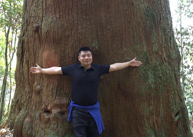 61 cây khổng lồ ở Nghệ An được công nhận là cây di sản Việt Nam - Ảnh 6.