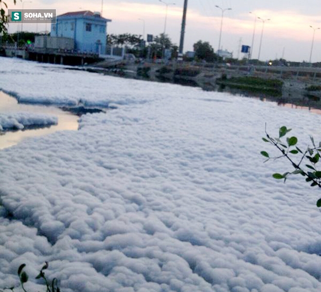 Cảnh tượng lạ ở kênh Tàu Hủ khiến người dân lo lắng - Ảnh 1.