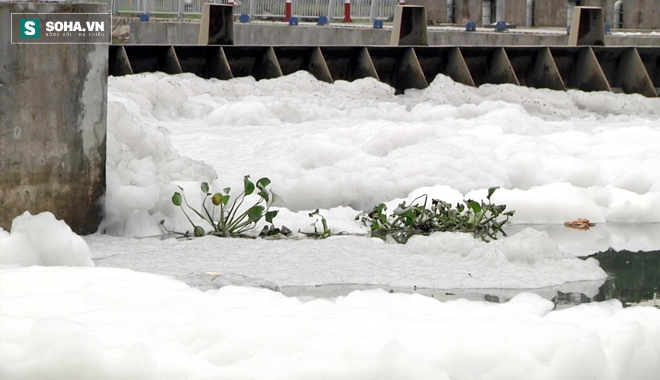 Cảnh tượng lạ ở kênh Tàu Hủ khiến người dân lo lắng - Ảnh 3.