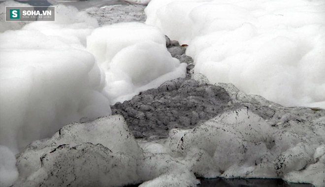 Cảnh tượng lạ ở kênh Tàu Hủ khiến người dân lo lắng - Ảnh 4.