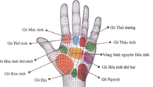 Nếu nghĩ nốt ruồi ở tay ăn vay cả đời thì bạn đã nhầm