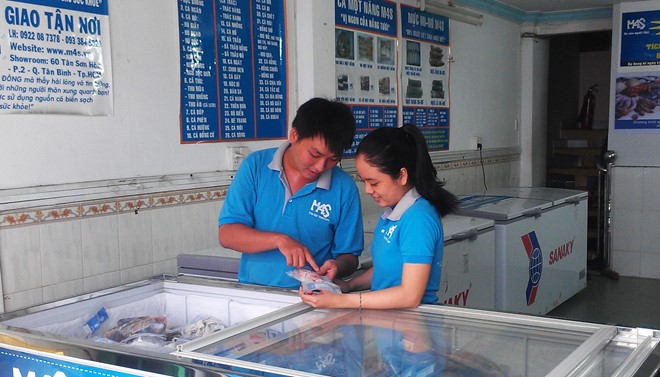 Mô hình cá ngủ đông độc đáo của 9X tại Sài Gòn - Ảnh 1. Mô hình cá ngủ đông độc đáo của 9X tại Sài Gòn - Ảnh 1.