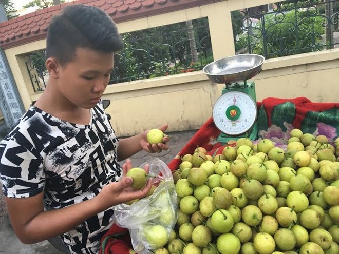 Quả lê lạ siêu ngọt dạt khắp vỉa hè Hà Nội - Ảnh 1.