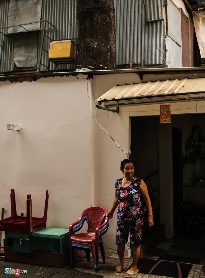 Cây trăm tuổi mọc trong nhà dân Sài Gòn - Ảnh 2.