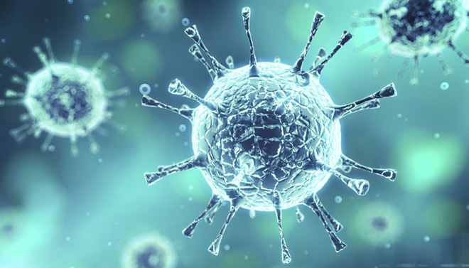 Vì sao kháng sinh chỉ diệt được vi khuẩn mà không diệt được virus? - Ảnh 3.