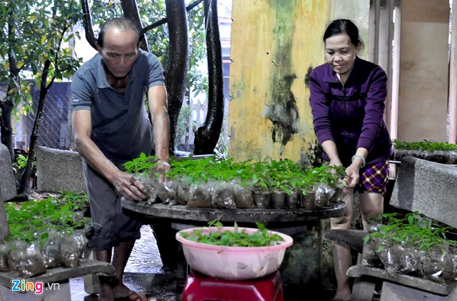 Hàng nghìn nhà dân Quảng Ngãi ngập sâu trong lũ - Ảnh 5. Hàng nghìn nhà dân Quảng Ngãi ngập sâu trong lũ - Ảnh 5.