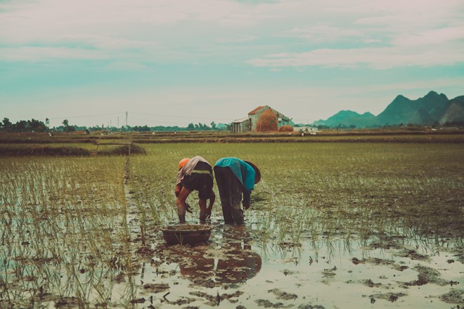 Hình ảnh ám ảnh của 2 cụ già gần trăm tuổi trong căn nhà cũ kỹ ở Ninh Bình - ảnh 5