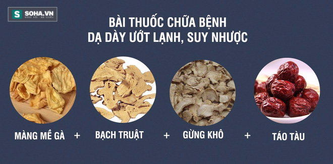 Màng mề gà: Vị thuốc cực quý không nhiều người biết - Ảnh 3.