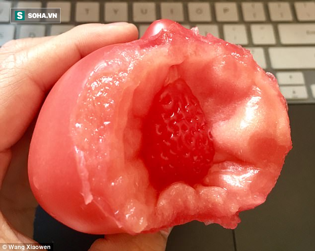 Wang Xiaowen - sinh viên Học viện công nghệ Thẩm Dương Trung Quốc vô cùng kinh ngạc khi phát hiện một quả dâu tây nằm ngay bên trong quả cà chua đang ăn dở.