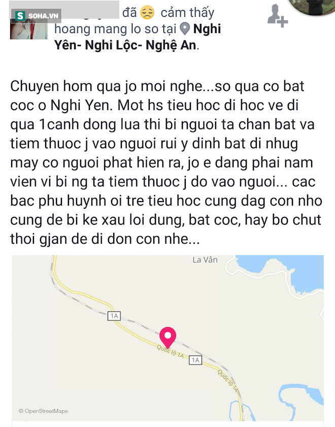 Xôn xao việc bé gái bị chặn đường, tiêm thuốc vào người ở Nghệ An - Ảnh 1.