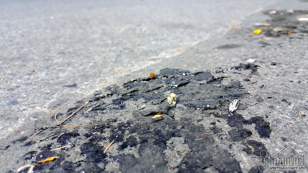 Hình ảnh giật mình về đợt nắng nóng kỷ lục đang diễn ra - Ảnh 1. Hình ảnh giật mình về đợt nắng nóng kỷ lục đang diễn ra - Ảnh 1.