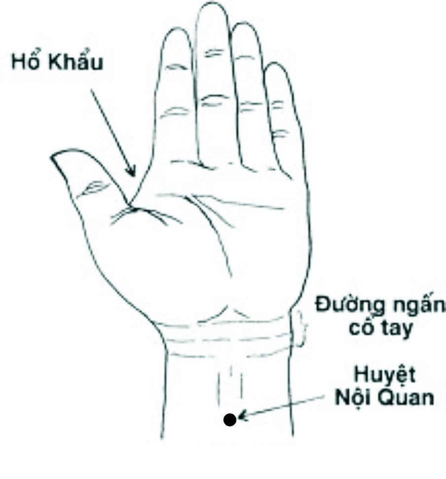 Y học TQ tiết lộ 3 điểm trên cơ thể xoa bóp hàng ngày sẽ giúp bổ thận, giải độc, an thần - Ảnh 3. Y học TQ tiết lộ 3 điểm trên cơ thể xoa bóp hàng ngày sẽ giúp bổ thận, giải độc, an thần - Ảnh 3.