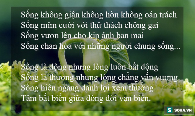 9 luật trời bất khả phá vỡ, lĩnh hội được cả đời sẽ an nhiên! - Ảnh 4.