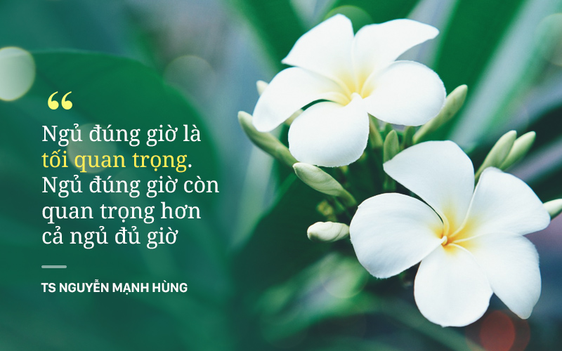TS Nguyễn Mạnh Hùng: Rất nhiều người đang ngủ sai giờ. Họ không biết đường tới nghĩa địa dần ngắn lại - Ảnh 7. TS Nguyễn Mạnh Hùng: Rất nhiều người đang ngủ sai giờ. Họ không biết đường tới nghĩa địa dần ngắn lại - Ảnh 7.