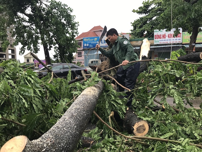 Nghệ An: Tan hoang sau bão, cây xanh bật gốc đè ô tô, người dân chặt cây tìm đường vào nhà - Ảnh 15.