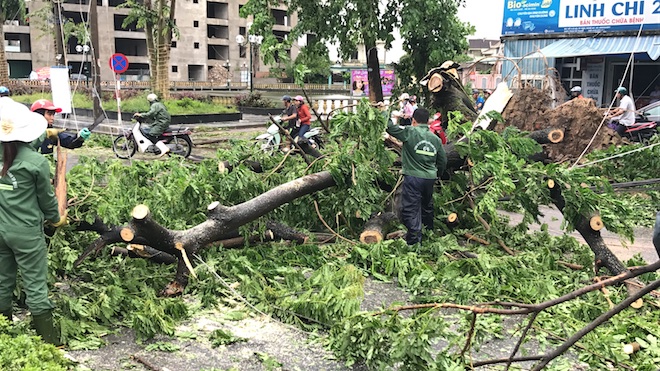 Nghệ An: Tan hoang sau bão, cây xanh bật gốc đè ô tô, người dân chặt cây tìm đường vào nhà - Ảnh 16.