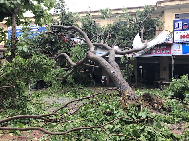 Nghệ An: Tan hoang sau bão, cây xanh bật gốc đè ô tô, người dân chặt cây tìm đường vào nhà - Ảnh 5.