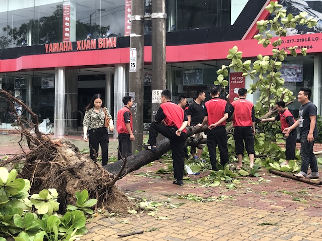 Nghệ An: Tan hoang sau bão, cây xanh bật gốc đè ô tô, người dân chặt cây tìm đường vào nhà - Ảnh 6.