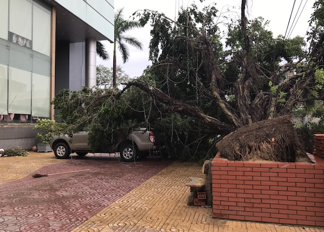 Nghệ An: Tan hoang sau bão, cây xanh bật gốc đè ô tô, người dân chặt cây tìm đường vào nhà - Ảnh 7.