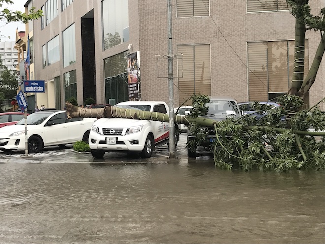Nghệ An: Tan hoang sau bão, cây xanh bật gốc đè ô tô, người dân chặt cây tìm đường vào nhà - Ảnh 8.