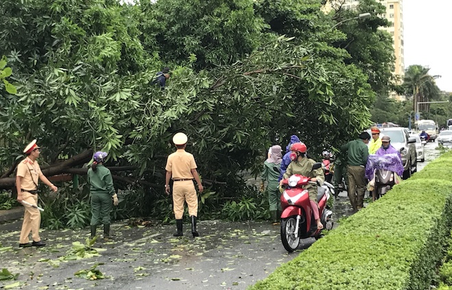 Nghệ An: Tan hoang sau bão, cây xanh bật gốc đè ô tô, người dân chặt cây tìm đường vào nhà - Ảnh 13.
