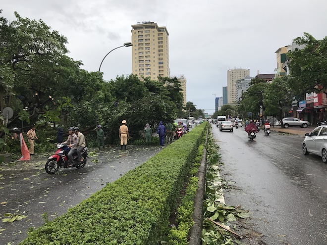 Nghệ An: Tan hoang sau bão, cây xanh bật gốc đè ô tô, người dân chặt cây tìm đường vào nhà - Ảnh 2.