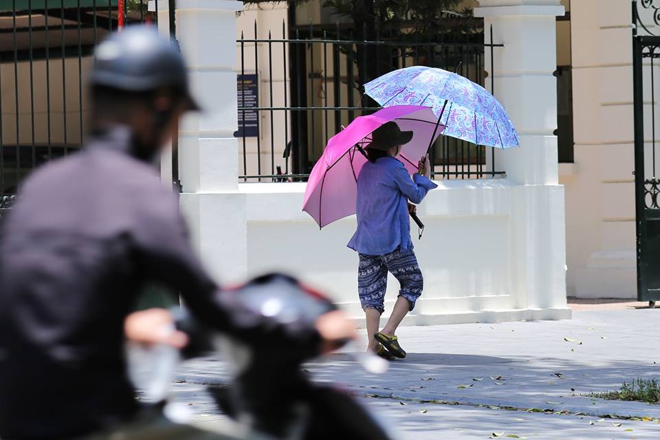Người Hà Nội mặc bìa carton, hai tay hai ô giữa ngày nắng nóng lịch sử - Ảnh 1. Người Hà Nội mặc bìa carton, hai tay hai ô giữa ngày nắng nóng lịch sử - Ảnh 1.