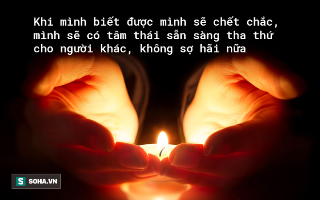 Đức Phật: Ai cũng có một con bò! Điều gì Tần Thủy Hoàng, Thành Cát Tư Hãn tìm cả đời không thấy? - Ảnh 4.