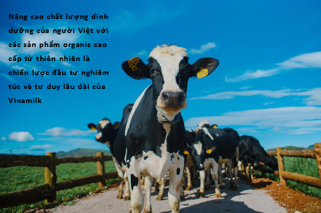 Bà Mai Kiều Liên: Ở đỉnh cao của sự phát triển, con người lại quay về với thiên nhiên và đây là lý do Vinamilk đầu tư làm sữa Organic - Ảnh 2.