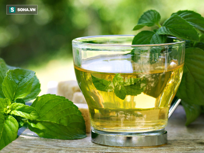 Gan là cơ quan lọc chất độc nhưng cũng có khi quá tải: 6 món trà giải độc gan cần biết ngay - Ảnh 1.