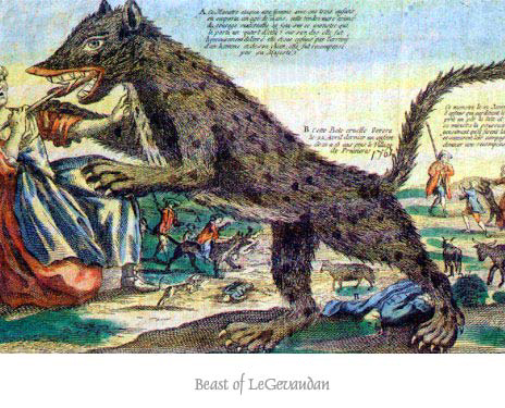 True legend about the bloodthirsty beasts of Gévaudan - Photo 3.