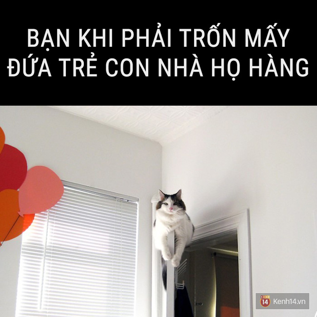 Nhật kí: Tết không ăn, ngủ thì làm gì? - Ảnh 5.