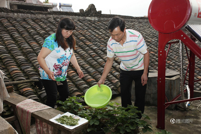  Câu chuyện hy hữu nhưng đậm nghĩa vợ chồng: Vợ lấy chồng mới rồi cùng nhau chăm sóc chồng cũ bị liệt - Ảnh 6.