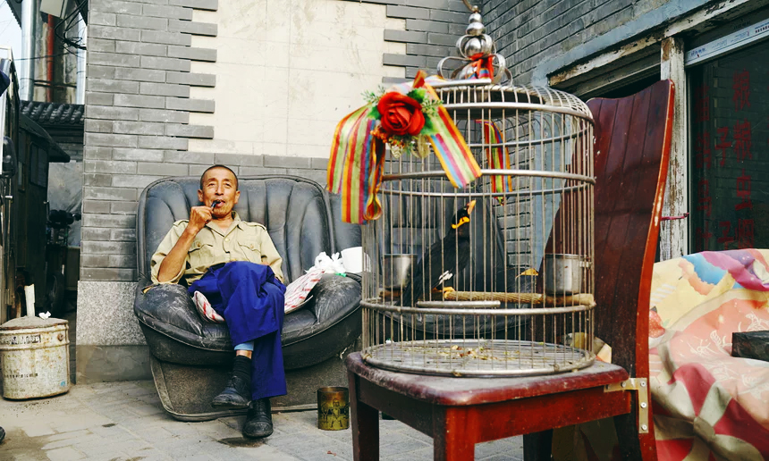 20 triệu dân Bắc Kinh sôi sục vì 1 người TQ dám nói Cố Cung không bằng chuồng lợn - Ảnh 11. 20 triệu dân Bắc Kinh sôi sục vì 1 người TQ dám nói Cố Cung không bằng chuồng lợn - Ảnh 11.