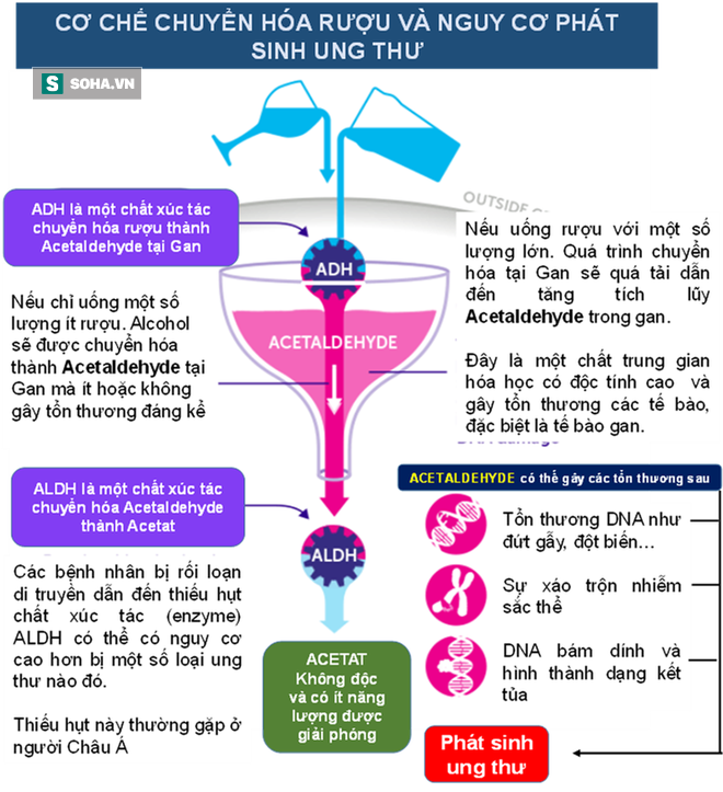 Giật mình tác hại của ma-men: Nguyên nhân gây hàng loạt căn bệnh ung thư hiện nay - Ảnh 2.