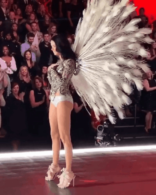 Victorias Secret Fashion Show 2018: Chị đại Adriana Lima bật khóc, nàng lọ lem Behati Prinsloo trở lại sàn diễn sau 2 lần sinh nở - Ảnh 2.