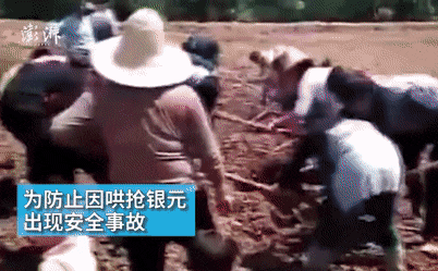 Cả làng ùn ùn kéo nhau đào bới, truy lùng kho báu Cả làng ùn ùn kéo nhau đào bới, truy lùng kho báu