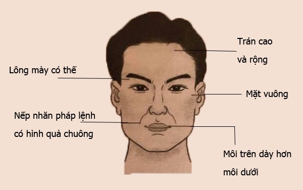 Nhân tướng học: Tướng mạo đàn ông giàu sang, có phúc, phụ nữ lấy được sướng một đời - Ảnh 9.