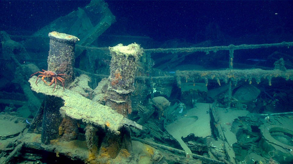 Phát hiện “nghĩa địa của những con tàu chìm ở vùng biển sâu nhất vịnh Mexico - Ảnh 4.