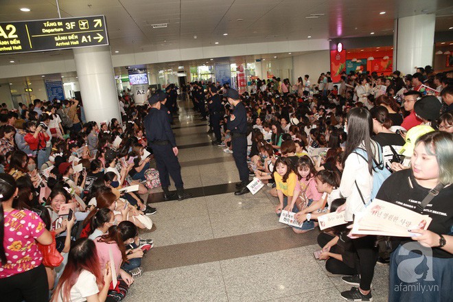 Quả bom sex Hyuna cùng dàn mỹ nam của Highlight chật vật di chuyển giữa biển fan Việt Nam - Ảnh 1.