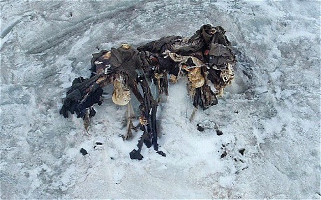 Sự ấm lên toàn cầu đang làm rã đông... những xác chết từ thời Thế chiến thứ nhất - Ảnh 1.